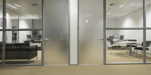 Frosted Glass doors 